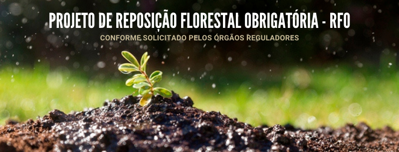 Projeto de Reposição Florestal Obrigatória (RFO) 